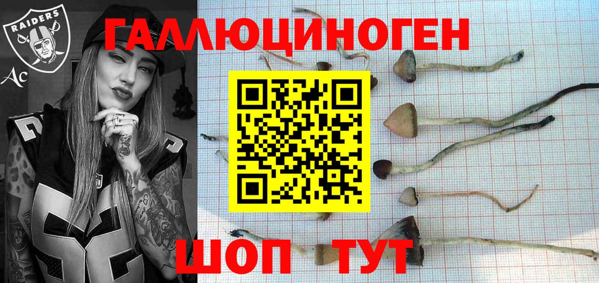Галлюциногенные грибы Psilocybe  Галлюциногенные грибы Psilocybe  Кинель  Вход с VPN 