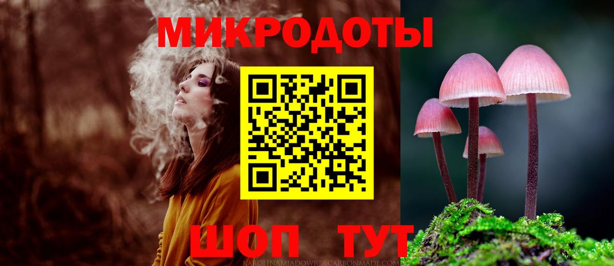 Псилоцибиновые грибы Psilocybine cubensis Кинель